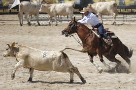 I CRONOS DI NAPOLI IN SERVIZIO PER IL TEAM PENNING